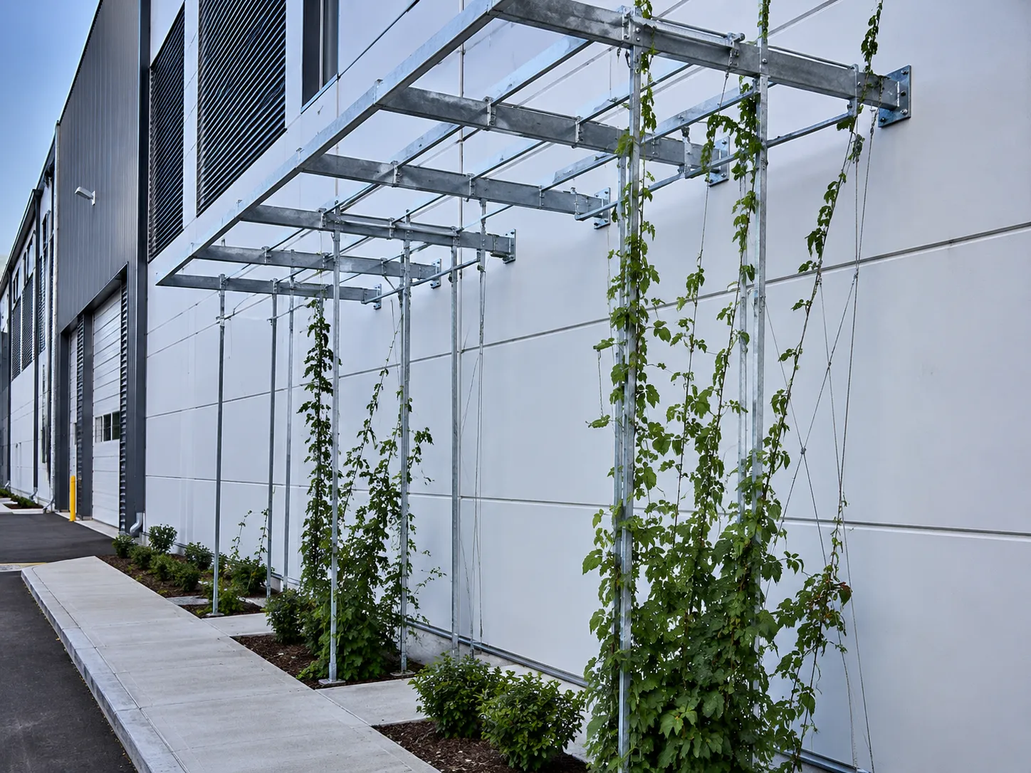 Completed Metal Trellises installation in Maple by The Grate Guys
