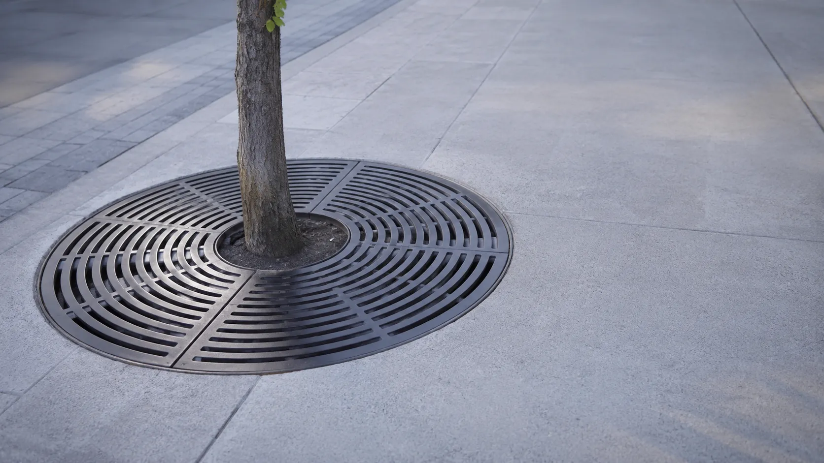 Tree Grates in Peterborough, Ontario — fabricated and installed by The Grate Guys